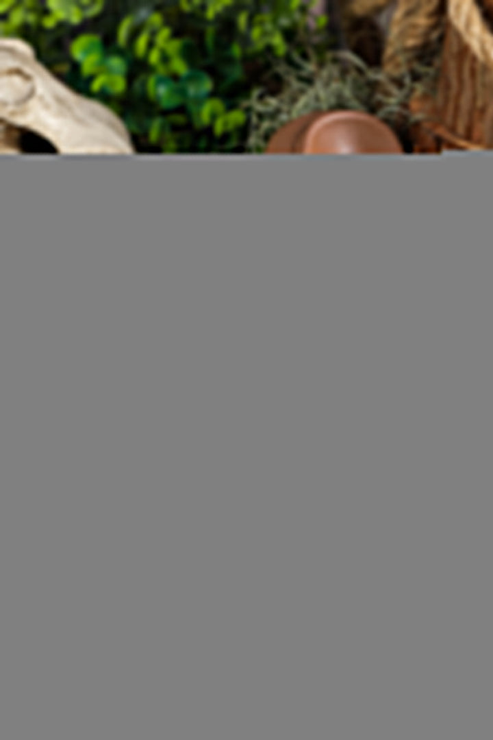 Lauren | Zomerslippers